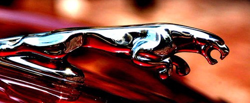 Jaguar-hood-ornament-chrome-leaper-emblem