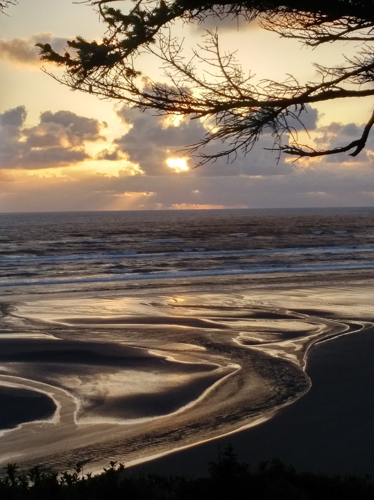 IMG_20170427_2006568