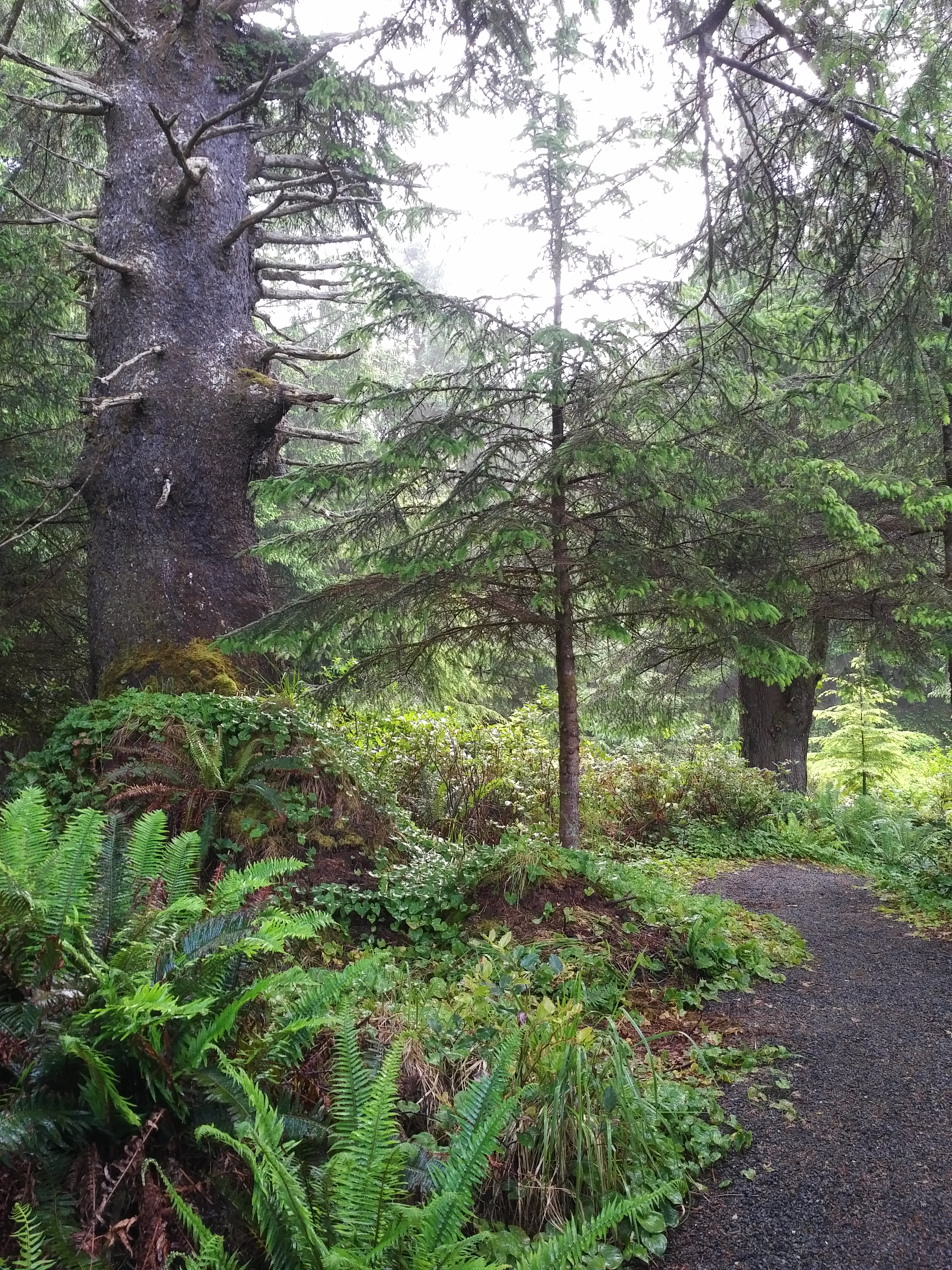 IMG_20170609_0745450