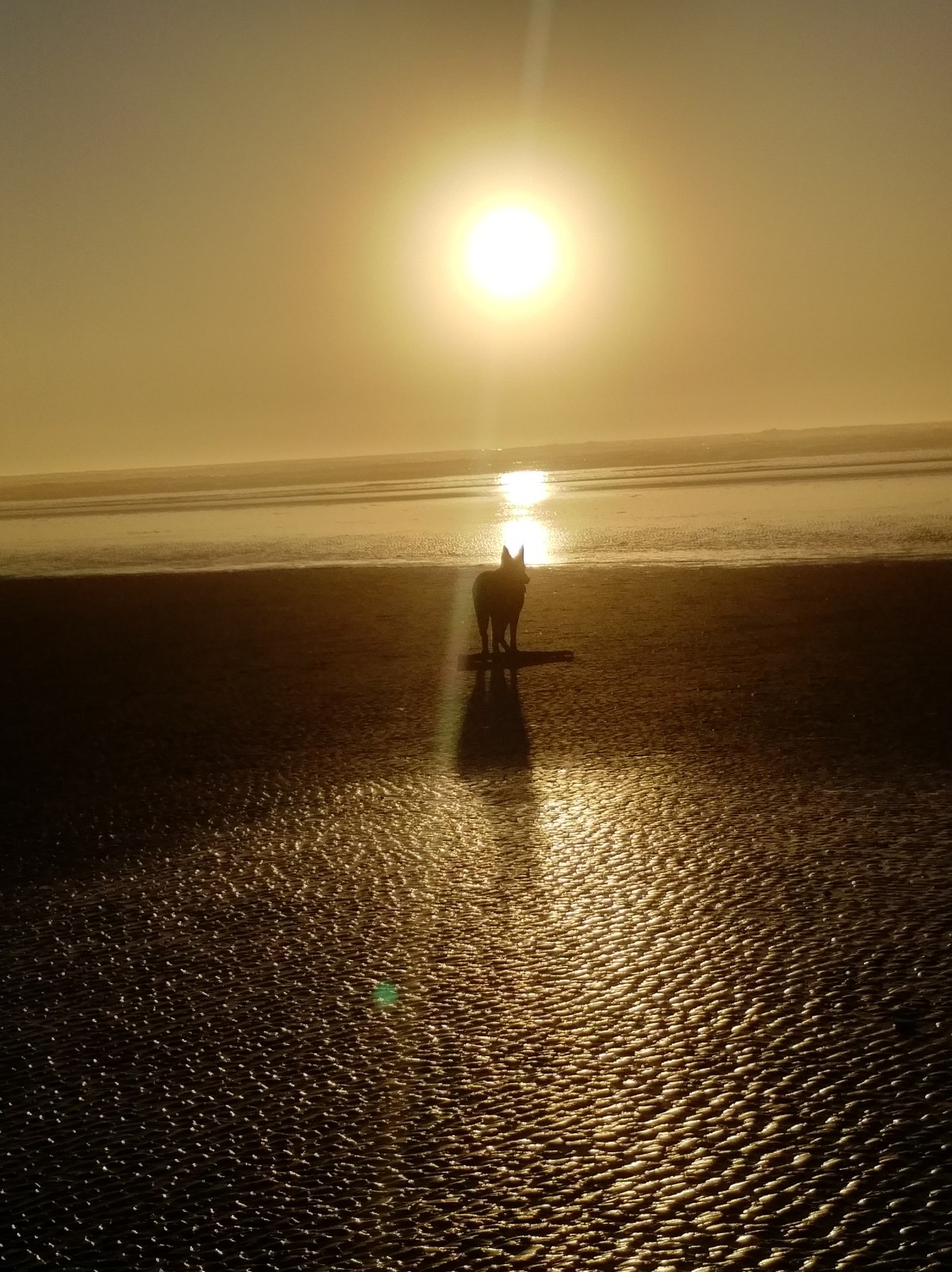 IMG_20171024_1741451