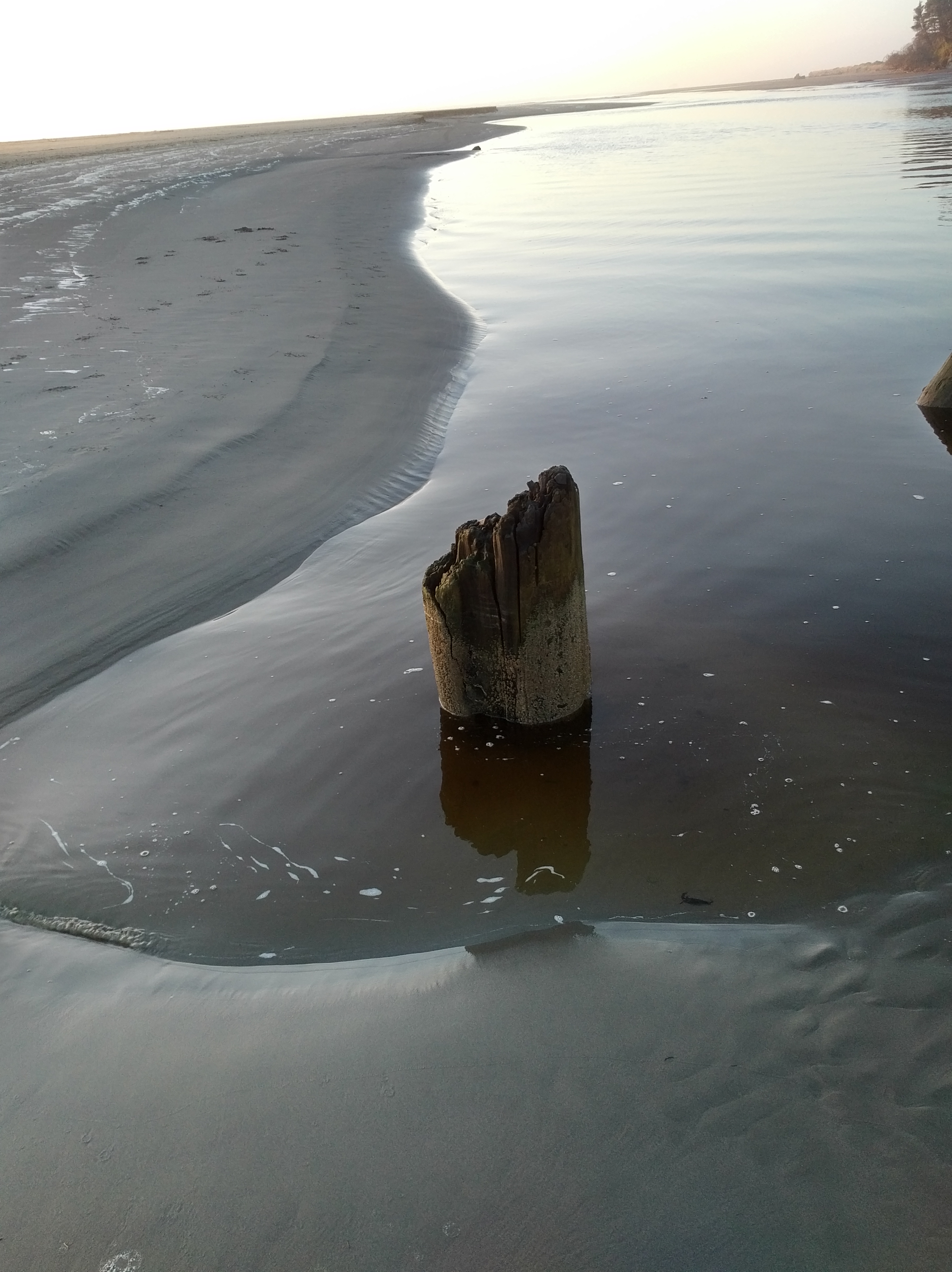 IMG_20171024_1758365