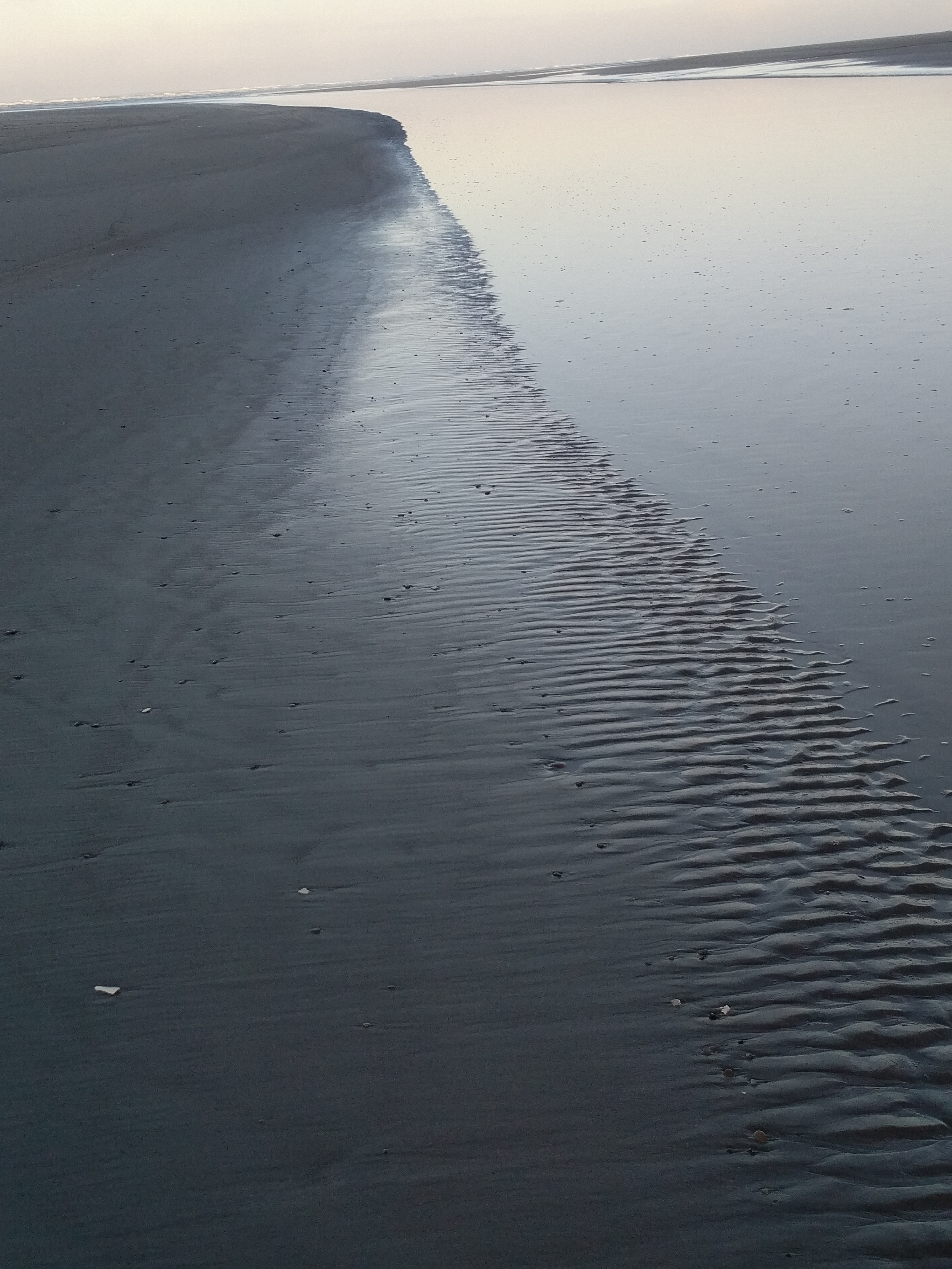 IMG_20171026_0839345