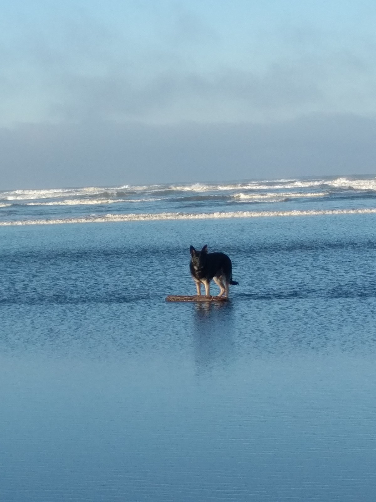 IMG_20171026_0854593