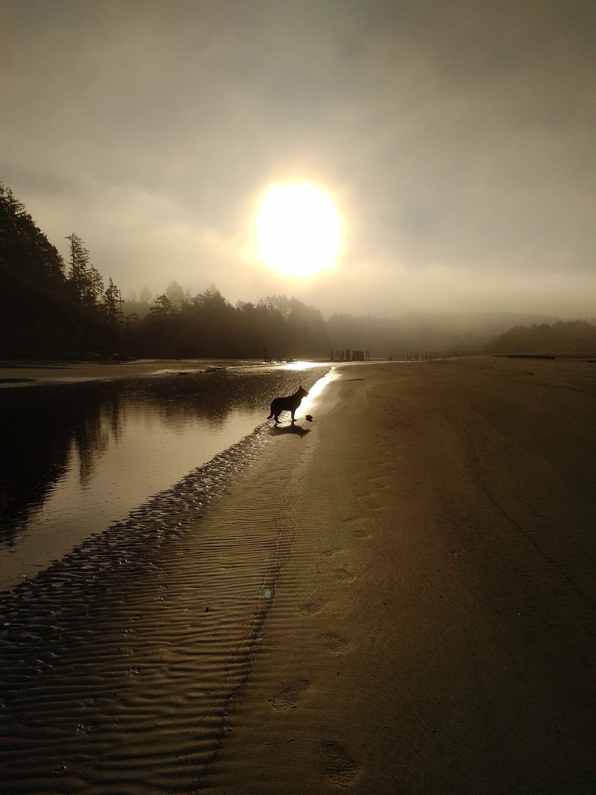 IMG_20171026_0907202